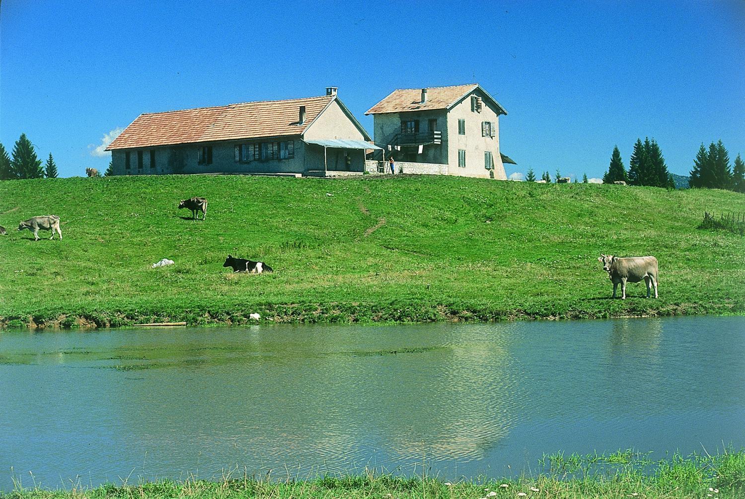 Alaska Clubresidence Folgaria Exteriér fotografie